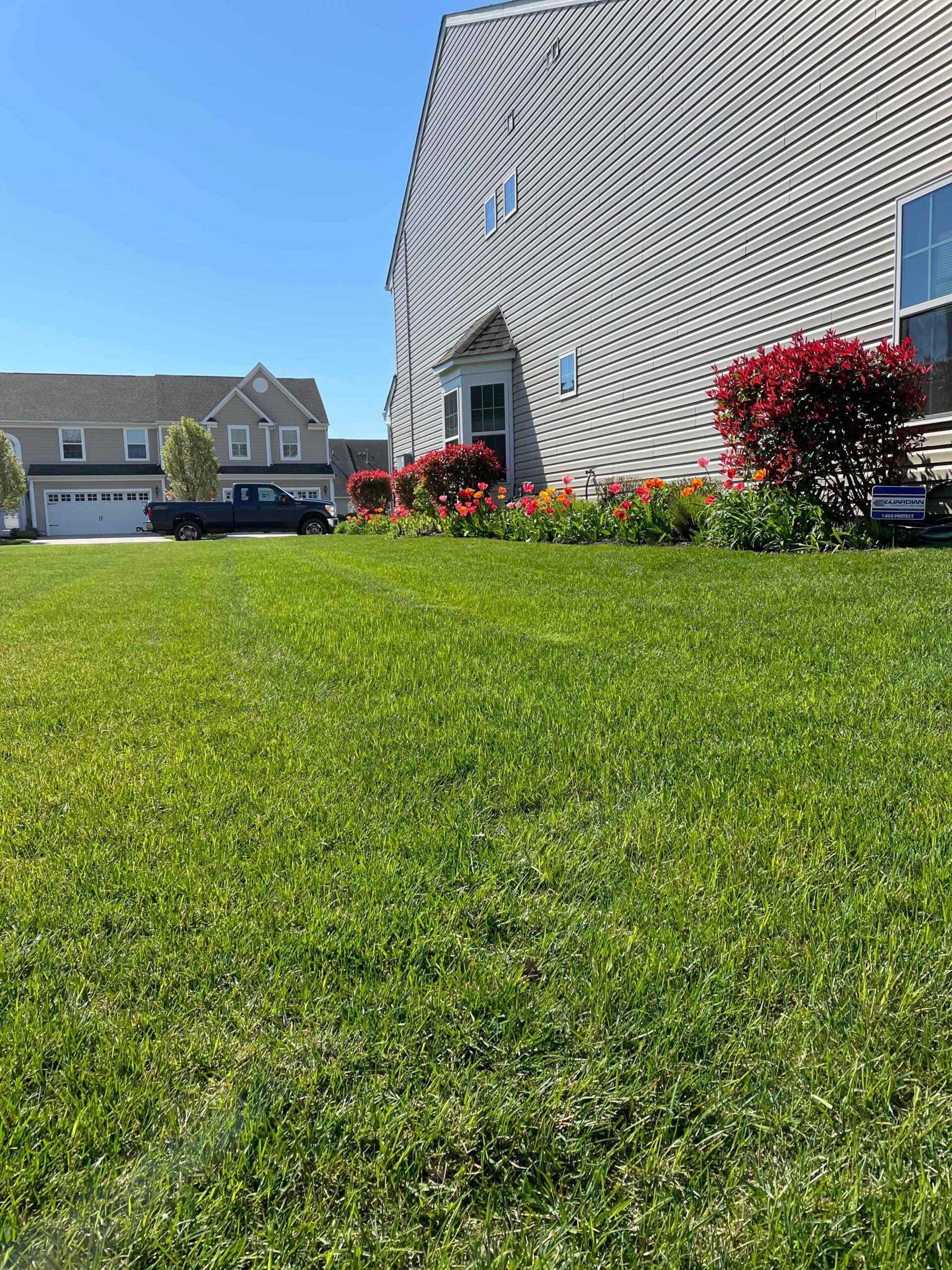 A freshly mowed, dense green lawn extends in front of a residential home with a foundation planting bed featuring red flowering shrubs, consistent with knockout roses, and red and orange annual flowers along the house.