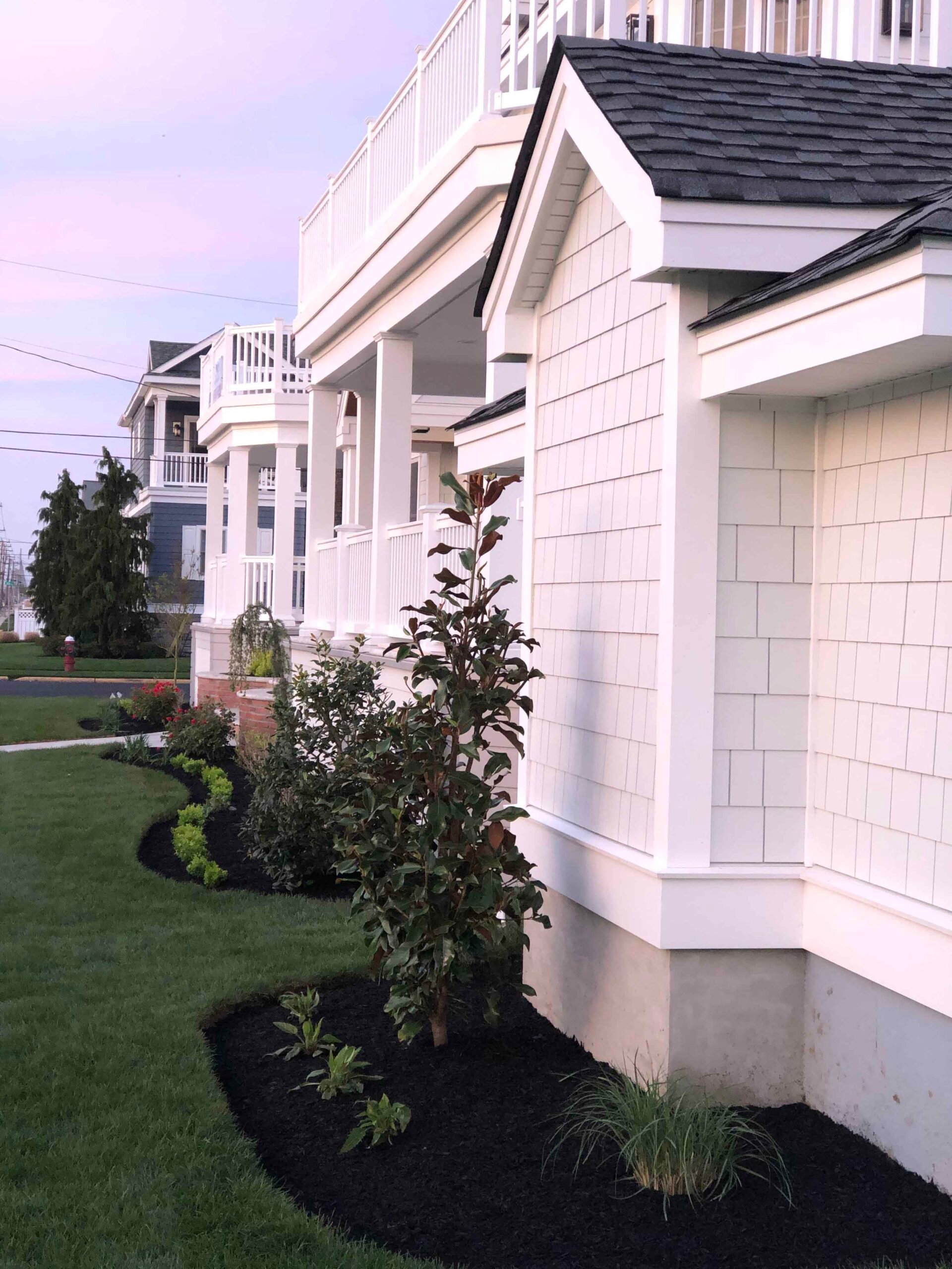 A curved foundation planting bed runs along the side of a coastal shingle-style house, filled with black mulch, a young magnolia tree, ornamental grasses, and low ground cover shrubs, bordered by a neatly edged green lawn.