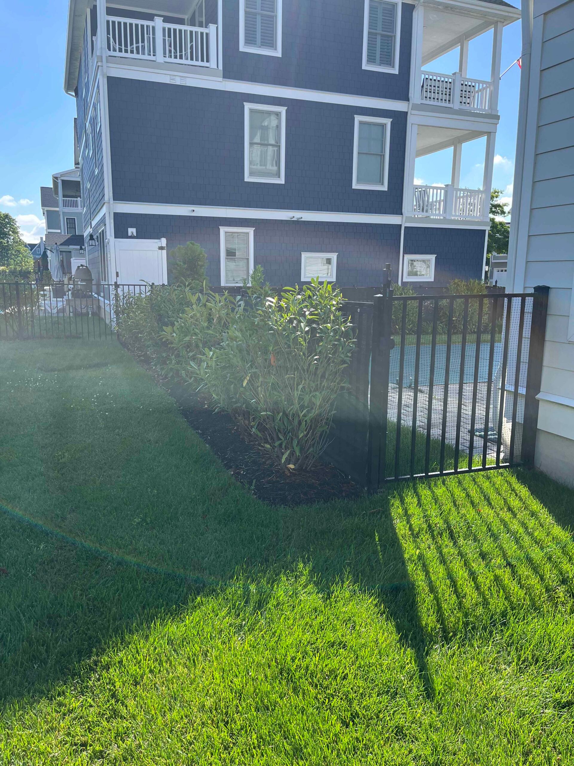 A mulched island bed is planted with a mid-size broadleaf shrub, likely an oleander or viburnum, set against a black metal fence. The surrounding lawn is freshly mowed and green. The bed uses black mulch with no visible edging material.
