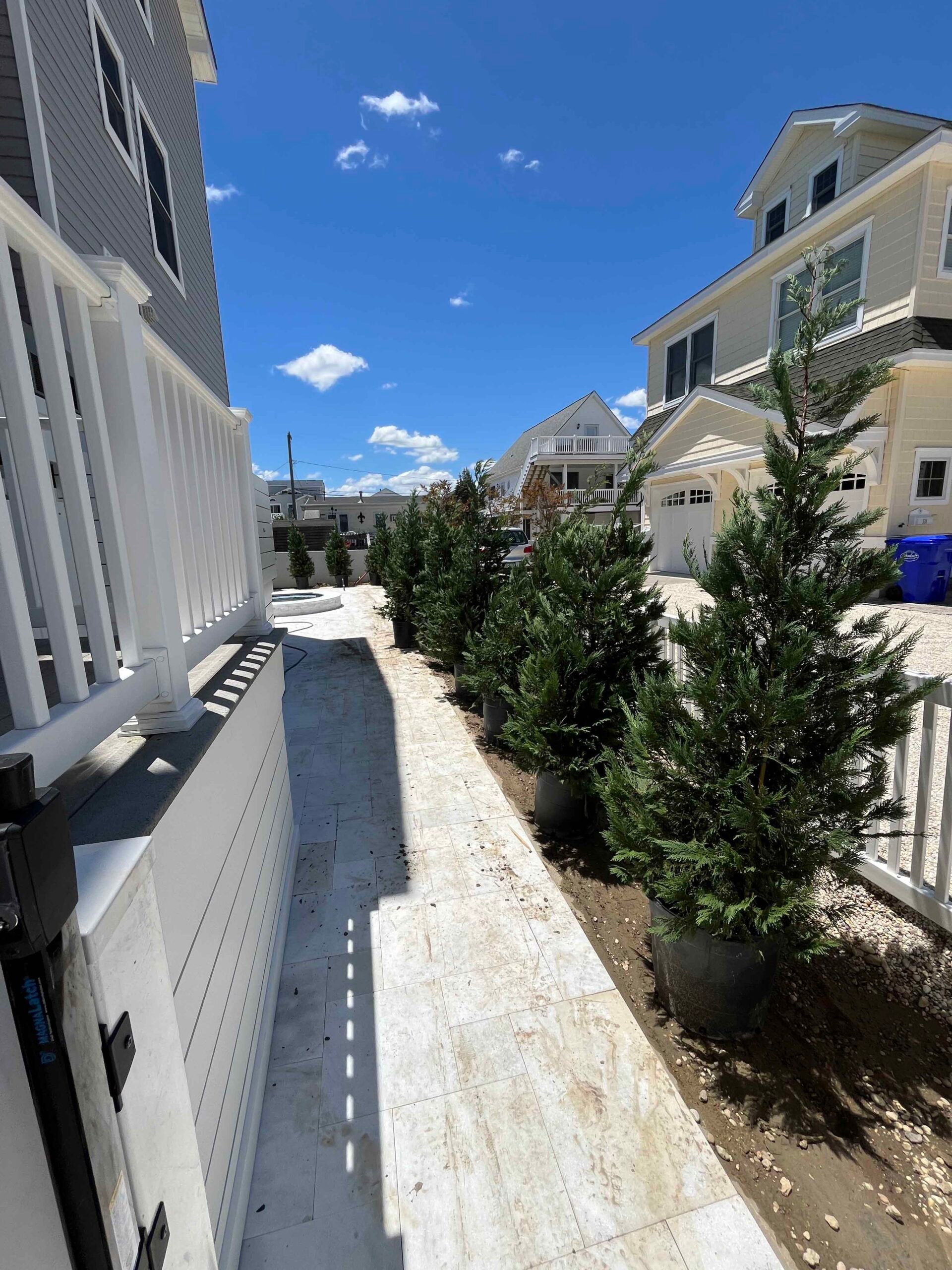 A narrow side-yard walkway paved with light gray porcelain or concrete pavers runs between two houses. A row of young evergreen trees, likely arborvitae or leyland cypress, sits in bare soil containers awaiting final installation along the right edge of th
