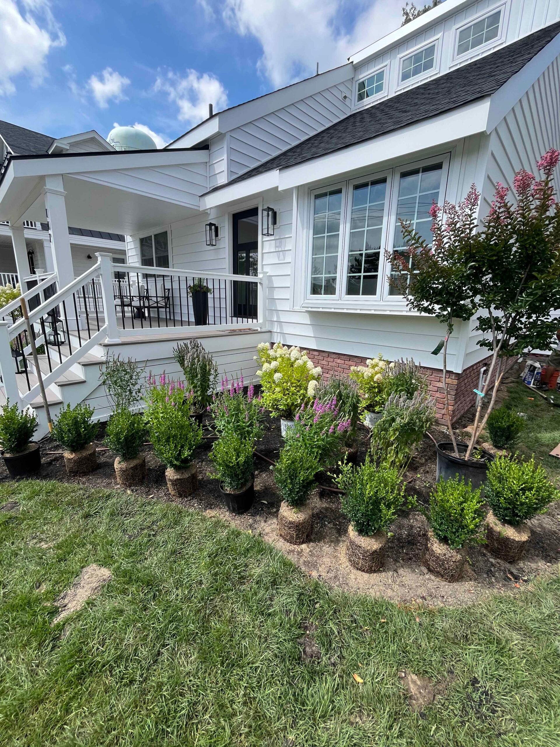 Nursery container plants including boxwoods, limelight hydrangeas, lavender, and a crape myrtle are staged in rows along a house foundation, prior to being planted, showing a pre-installation layout.