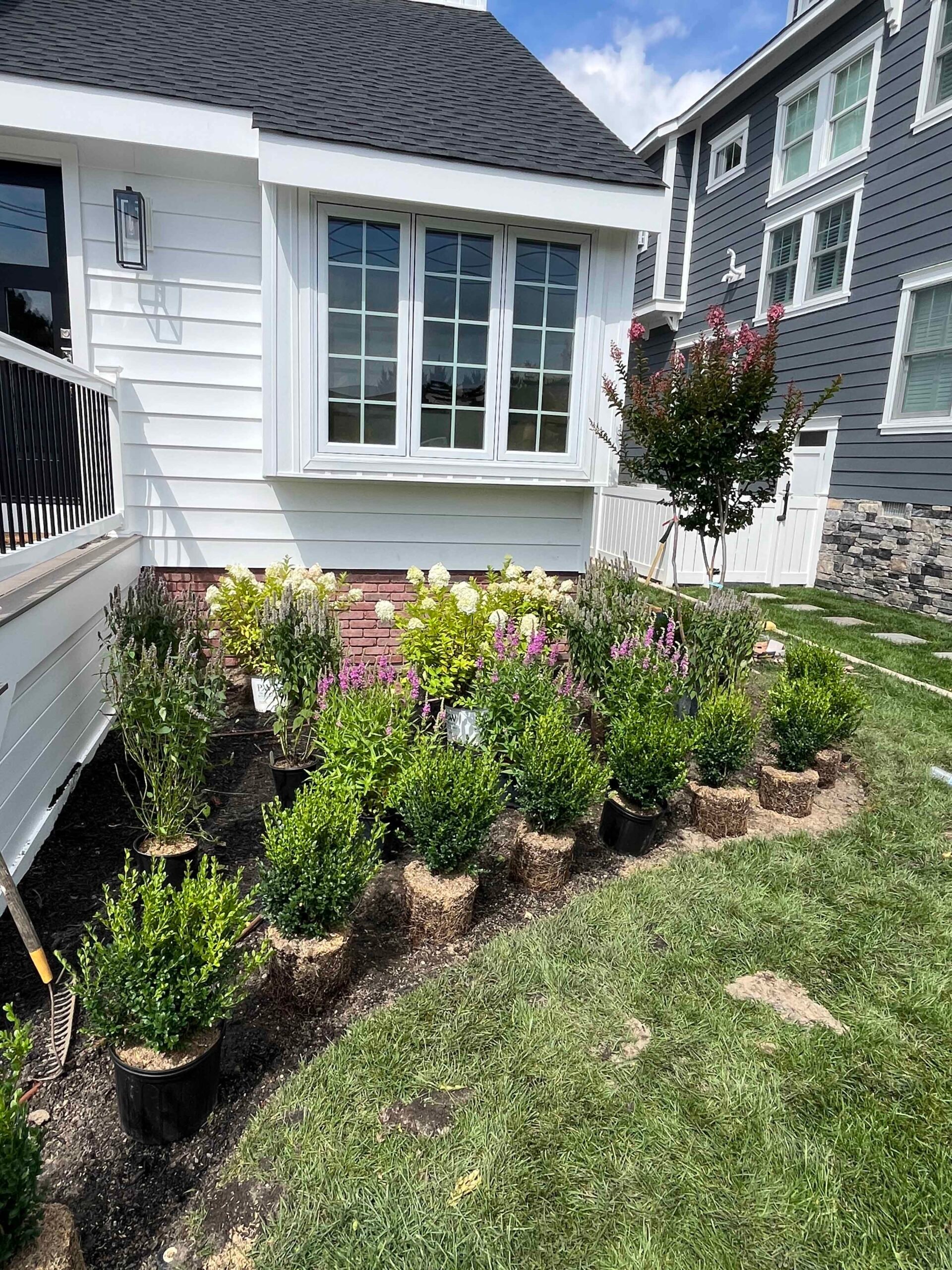 A foundation planting bed is staged with container-grown shrubs including boxwoods, lavender, hydrangeas, and a crape myrtle tree ready for installation along the side of a white home. Dark mulch has been laid in the bed, and plants remain in their nursery
