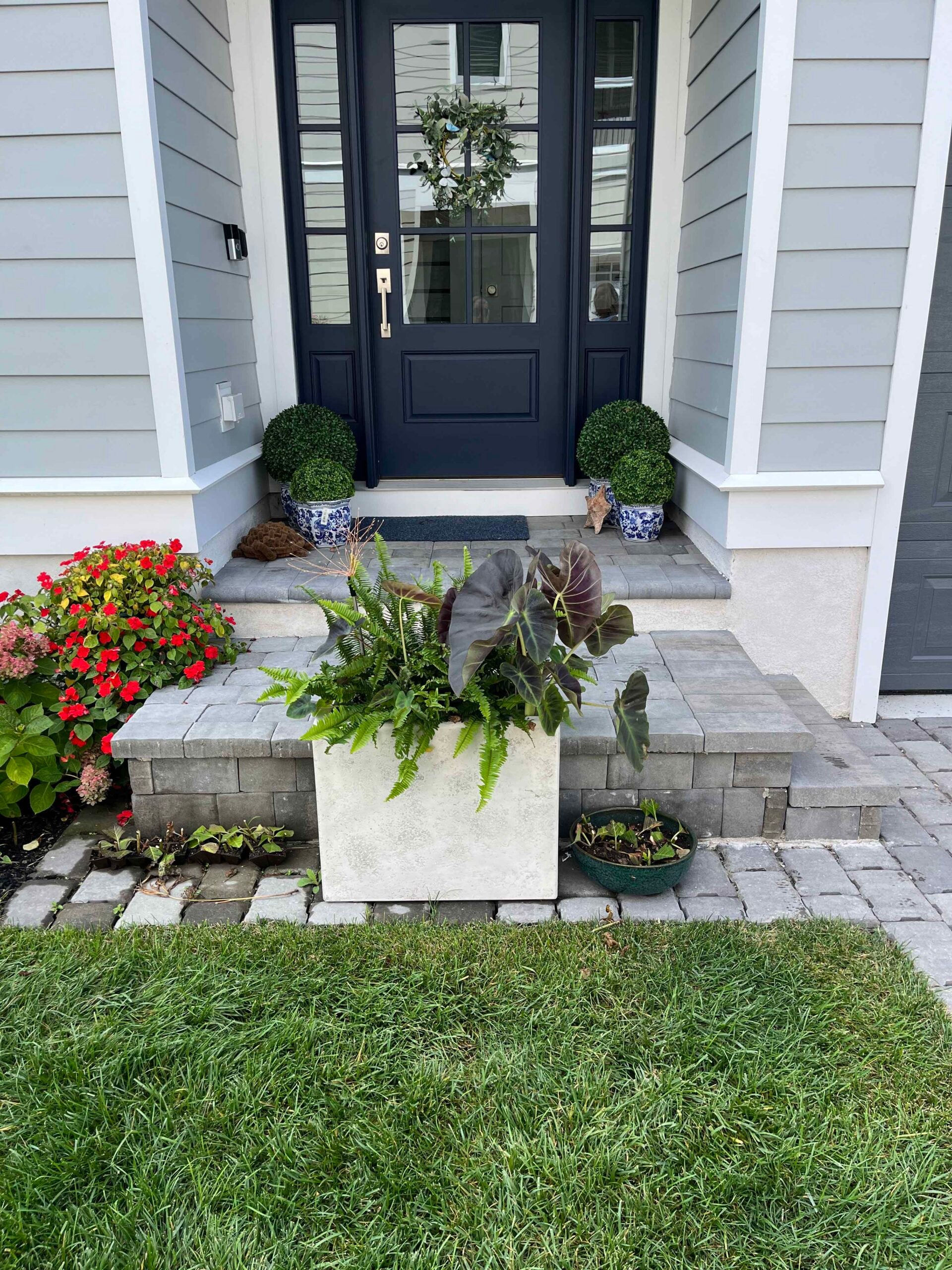 A front entry features concrete paver steps and a low paver retaining wall in a gray ashlar pattern. A large square cast-stone planter holds ferns, elephant ear, and dark-leafed tropicals. Flanking the front door are two trimmed boxwood topiaries in blue-a