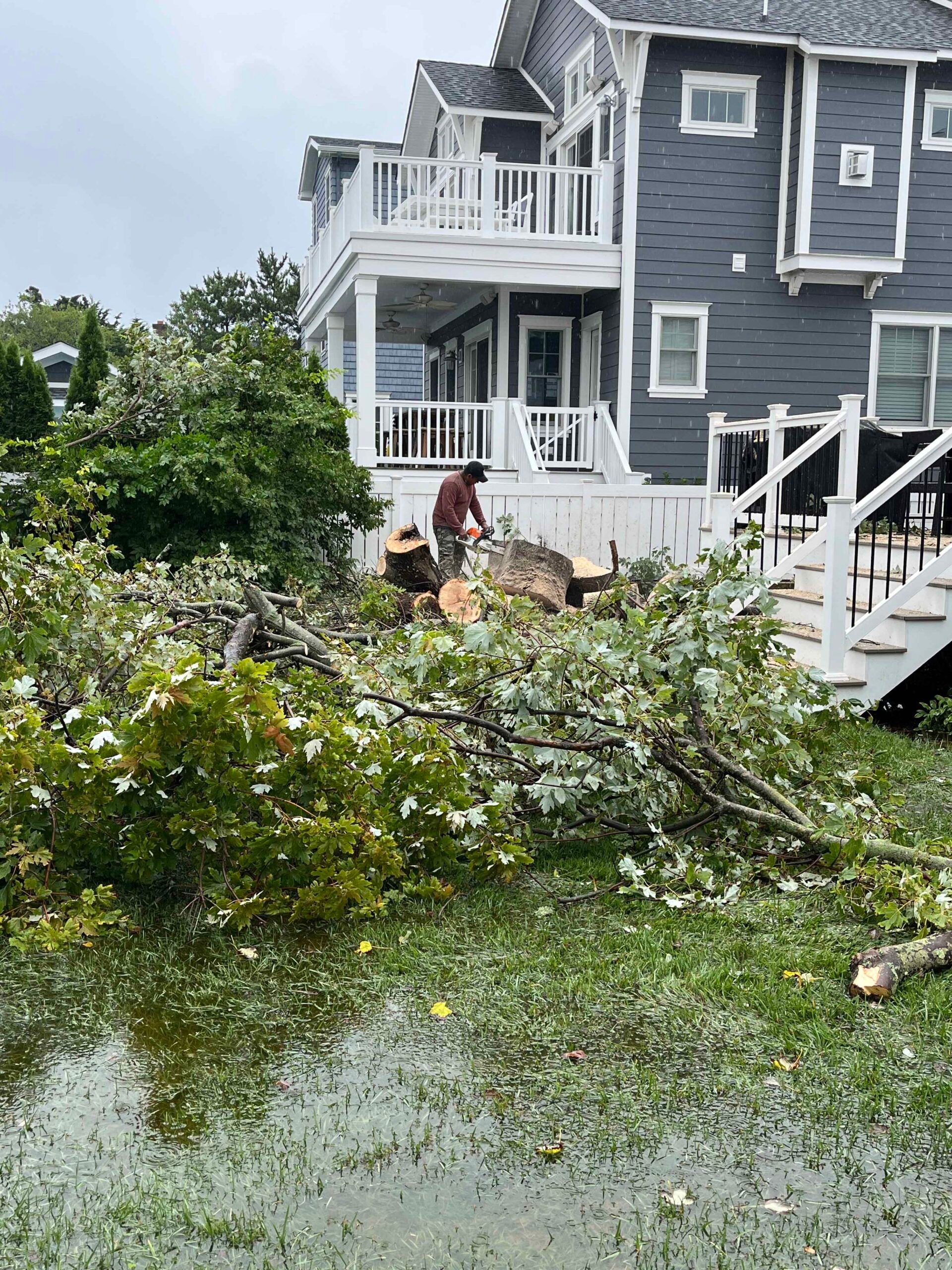 A worker uses a chainsaw to cut through a large fallen oak tree in a waterlogged yard beside a gray multi-story coastal home. Branches and leafy debris cover the lawn, and standing water is visible on the ground.