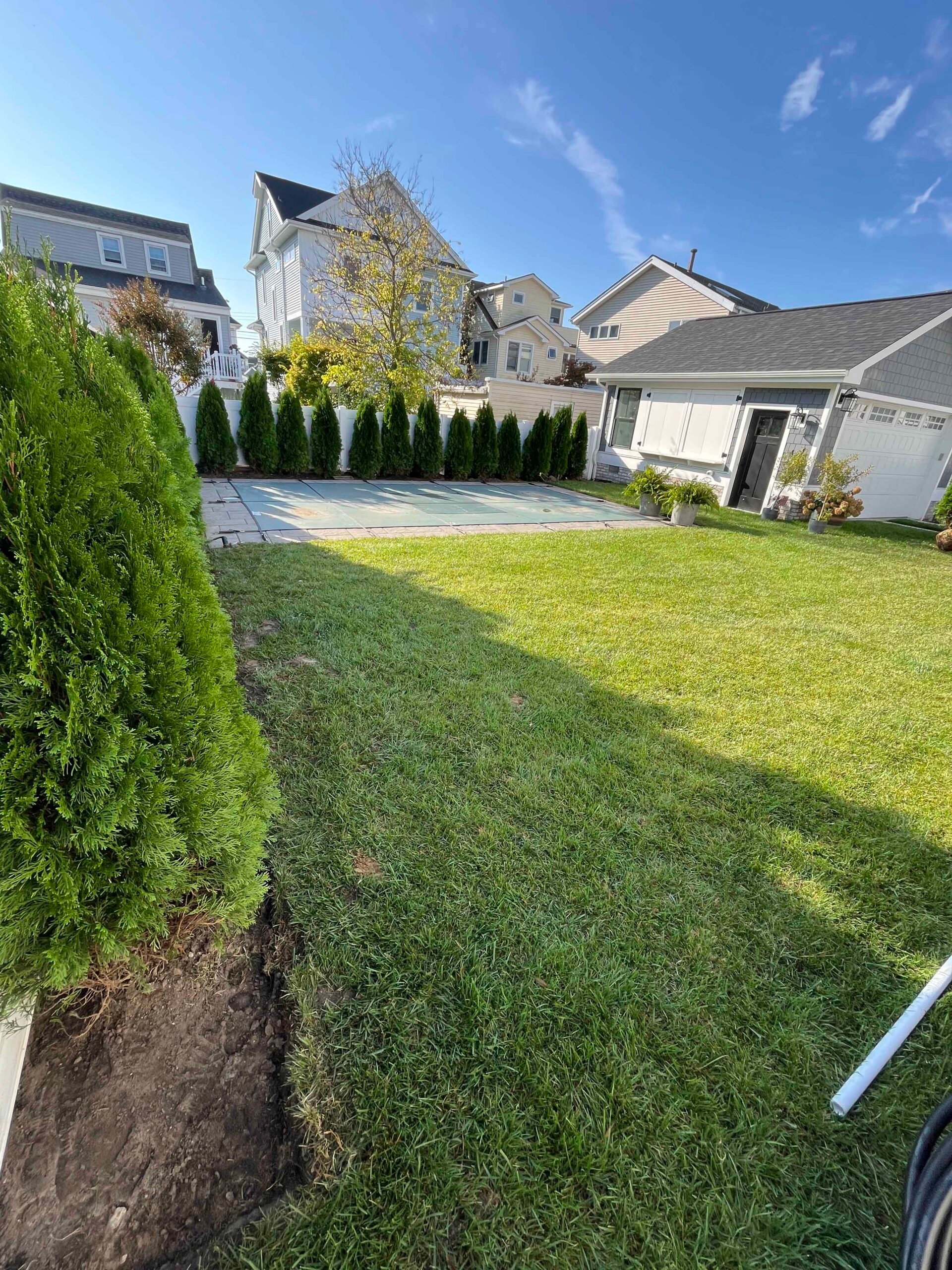 A row of tall, narrow arborvitae (Thuja occidentalis) is planted along a white vinyl fence bordering a covered in-ground pool. The lawn is freshly mowed and the base of the newly planted arborvitae show bare soil along the bed edge.