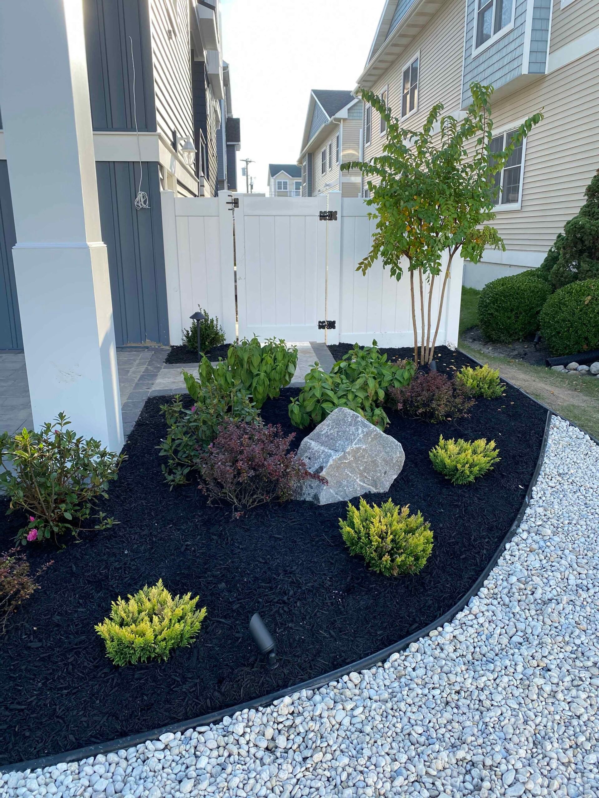 A curved front-yard planting bed filled with black mulch contains a multi-stem ornamental tree, small evergreen shrubs, barberry, and a natural stone boulder as a focal point. The bed is edged with metal edging and bordered by a white pea gravel path along