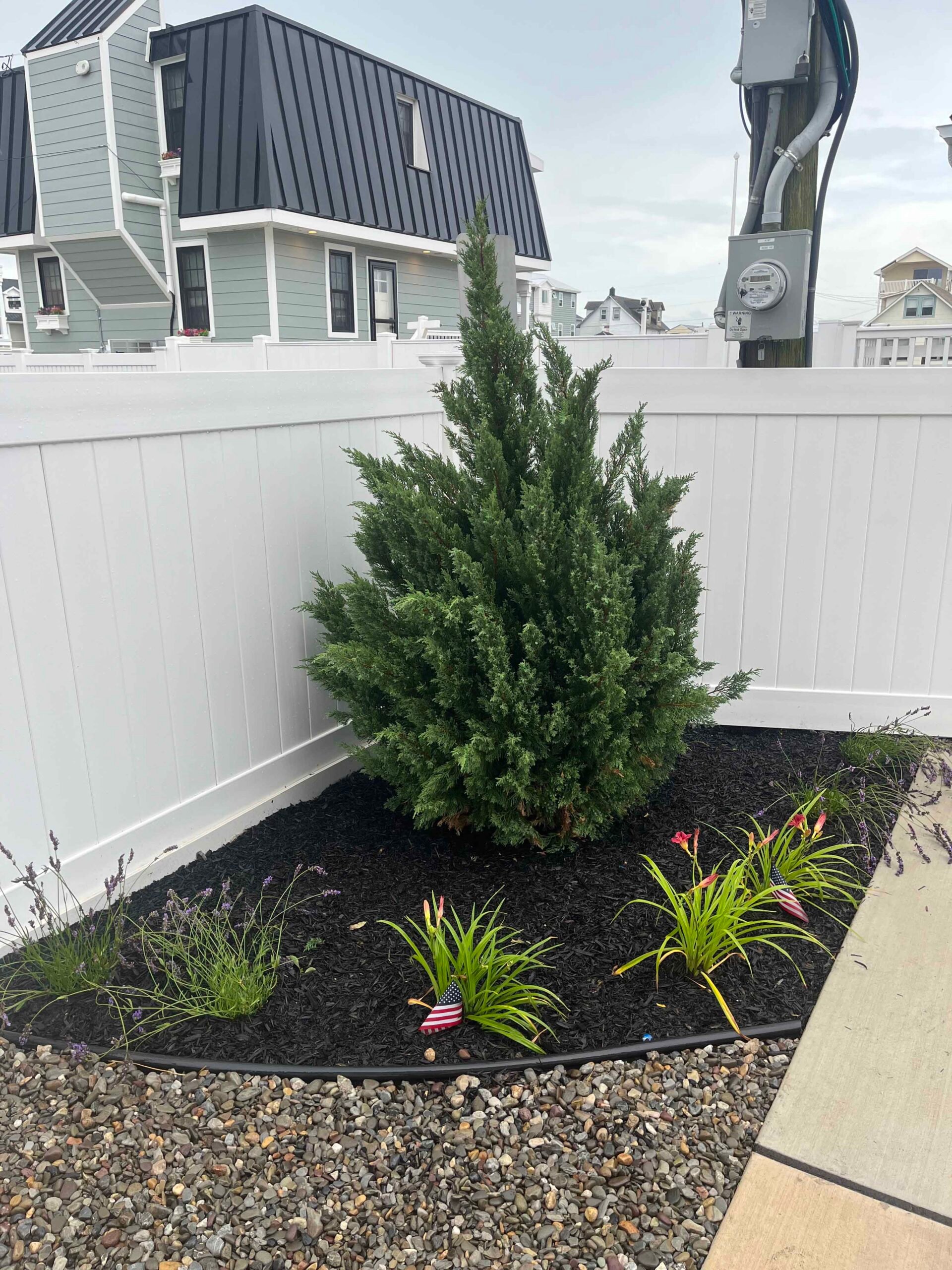 A corner planting bed against a white vinyl privacy fence holds a dense upright juniper or arborvitae shrub as the centerpiece, flanked by ornamental grasses and daylilies in black mulch. The bed is edged with metal edging and bordered by river rock gravel