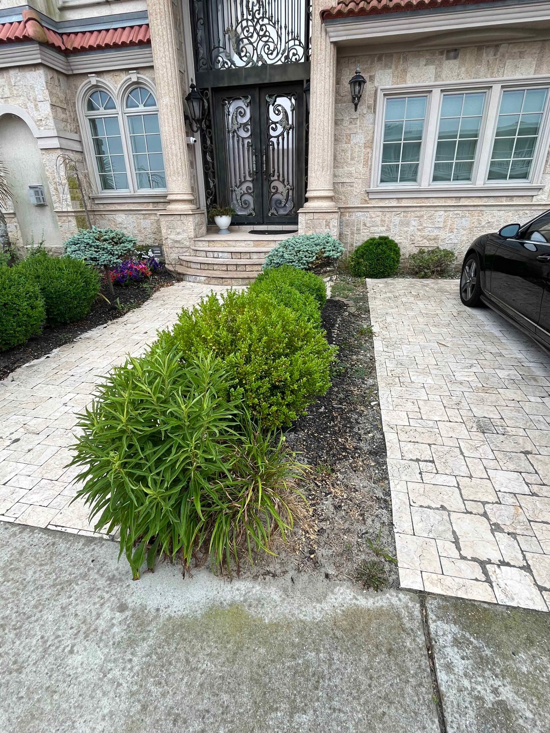 A large-format travertine or light natural stone paver driveway leads to an ornate home entrance with wrought iron double doors; foundation beds on either side contain rounded boxwood shrubs, low-growing spreading shrubs, and sparse dark mulch with minimal