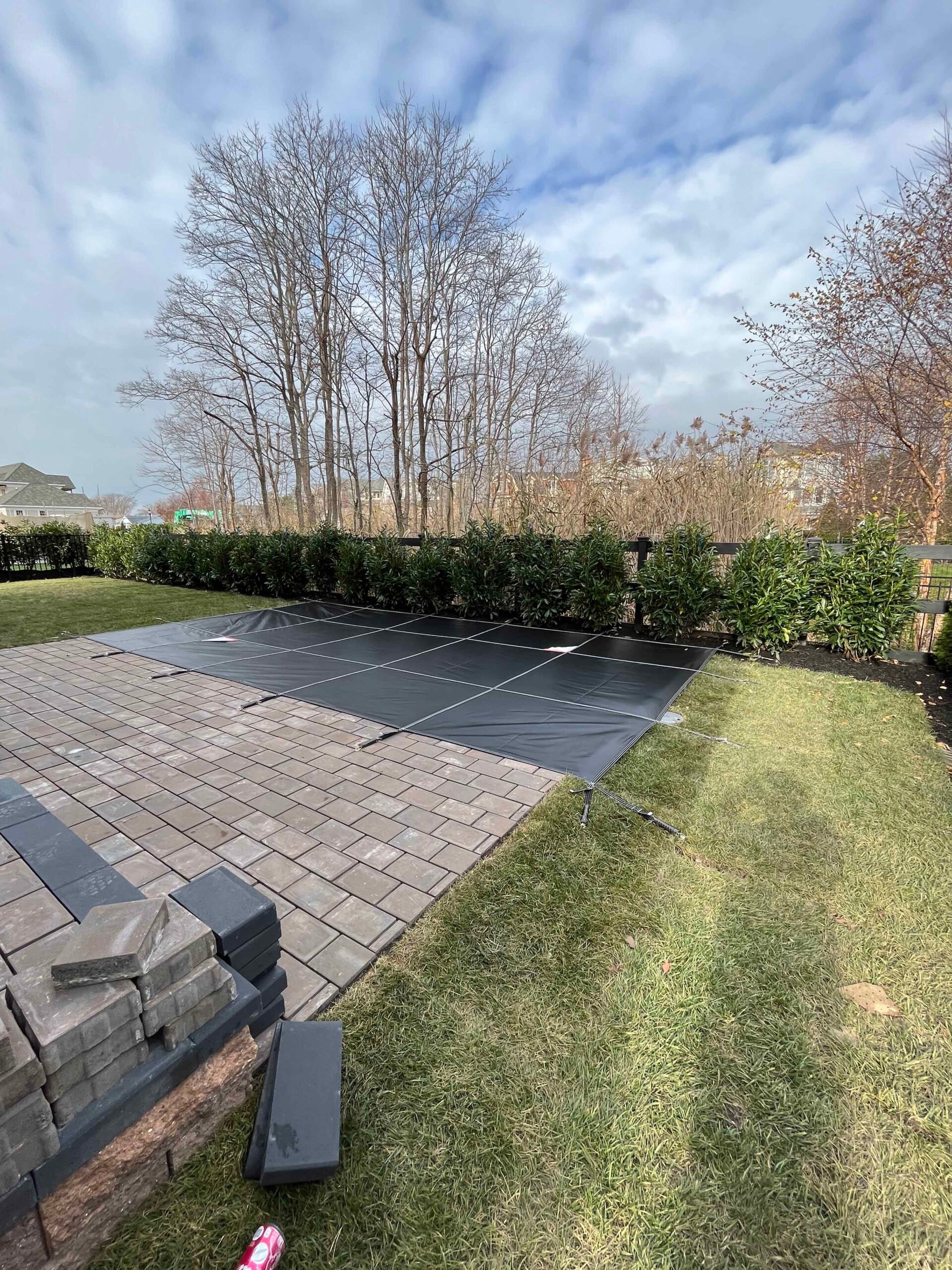 A covered in-ground pool with a dark mesh safety cover sits adjacent to a gray concrete paver surround. A row of newly planted evergreen shrubs, likely holly or arborvitae, lines the back border with dark mulch. Bare deciduous trees are visible in the back